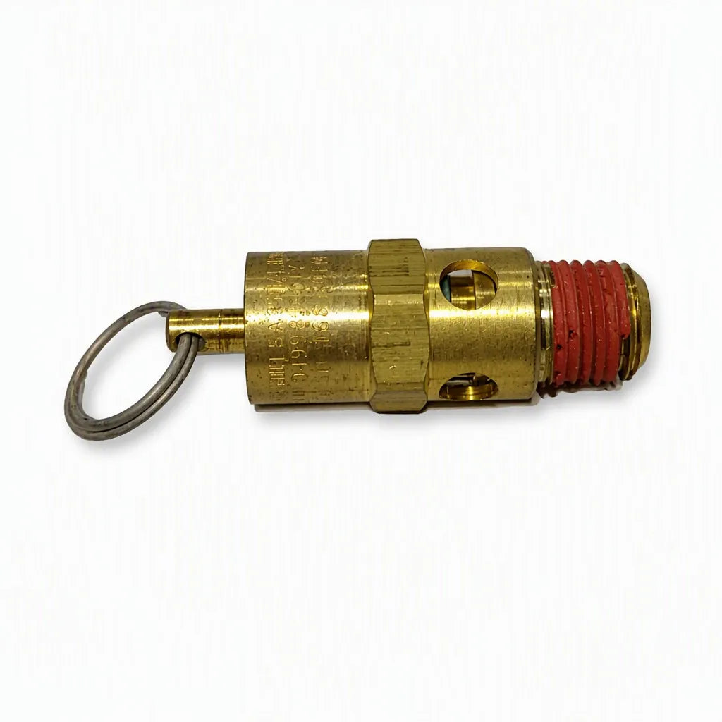 Safety Valve 200 PSI Coats (AM8104968)