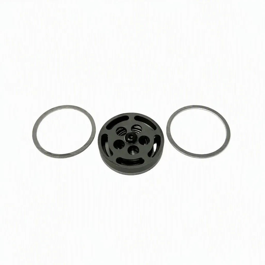 Champion Pneumatic Low-Press Discharge Valve (Z813)