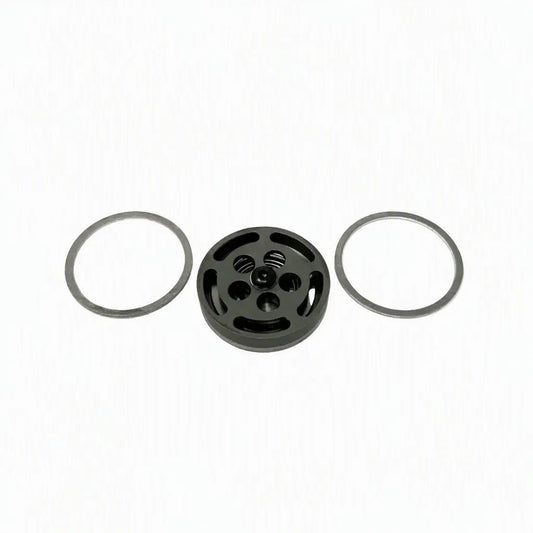 Champion Pneumatic Low-Press Discharge Valve (Z813)