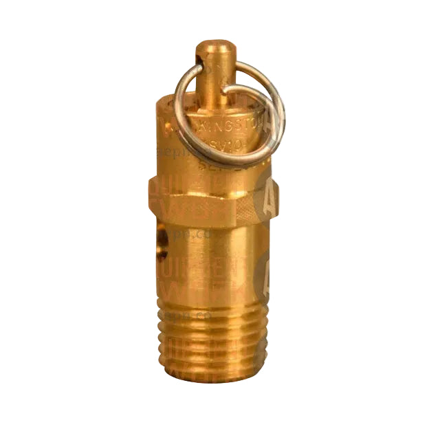 1/4" NPT 200 PSI Relief Valve | The Coats Company 8182599