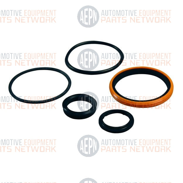 Seal Kit for WS12 | Whip AA2517504-KIT-T | SVI  BH-7820-10