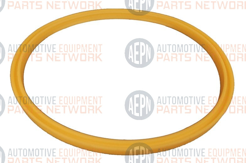 Wiper Ring GPI-9 | Benwil 200016 | SVI  BH-9020-07