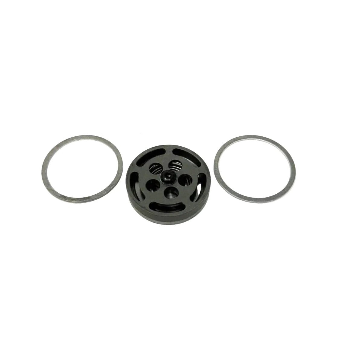 Champion Pneumatic Low-Press Discharge Valve (Z813)
