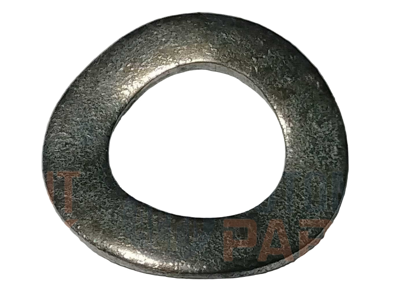 WAVE WASHER - 5/16" | COATS 8181981